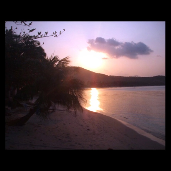 Meet your Posher, Moni - Picture 1 of 1